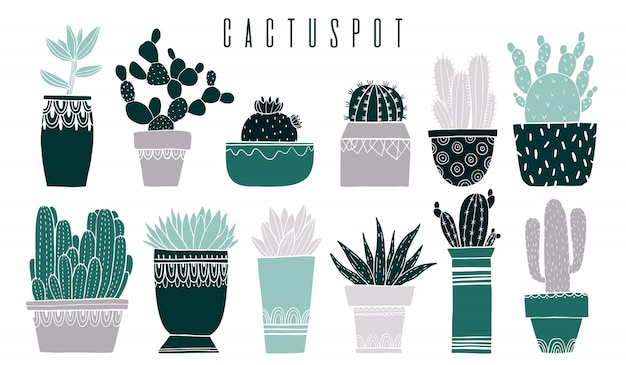 Definir cactus pot e suculenta no estilo de desenho. Vetor Premium