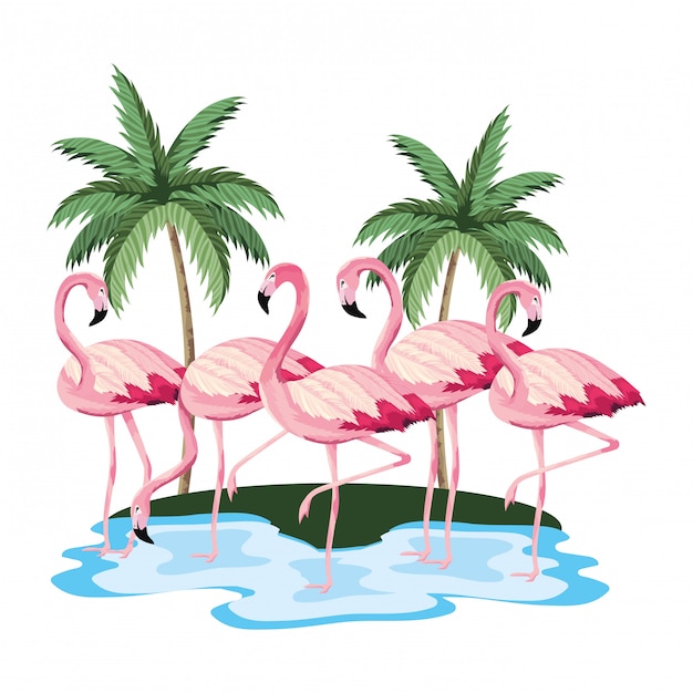 Desenho De Flamingos Tropical Vetor Premium 6551