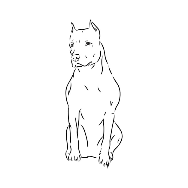 Desenho Vetorial Desenho Pitbull Latindo Vetor De Cão Pit Bull Terrier