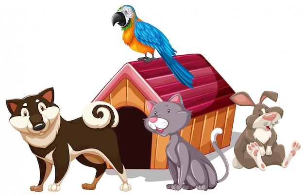 Diferentes Tipos De Animais De Estimação Em Casa Vetor Grátis