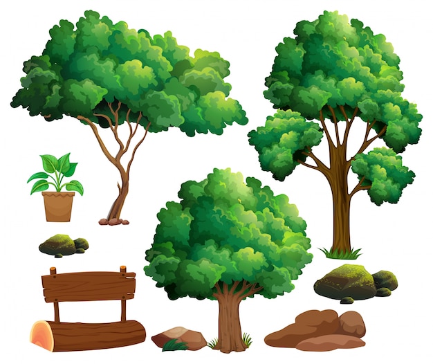 Diferentes Tipos De árvores E Ilustração De Elementos De Jardim Vetor Premium 2476