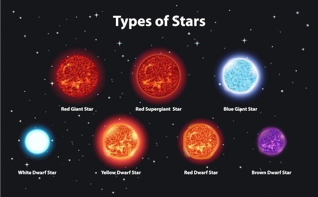 Diferentes tipos de estrelas no espaço escuro | Vetor Grátis