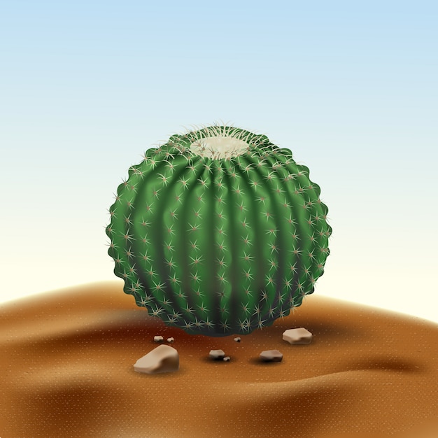 Echinocactus redondo grande do cacto do deserto realístico. planta do deserto entre areia e rochas no habitat Vetor Premium