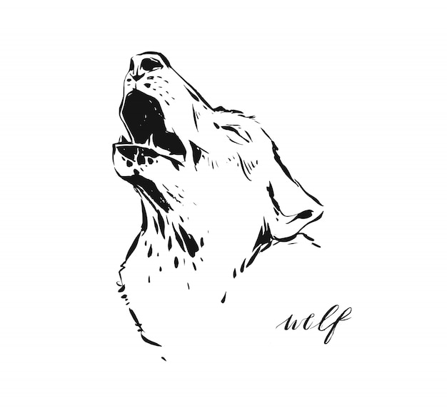 Retrato de um lobo de um toque de aquarela, esboço desenhado à mão.  ilustração de tintas | Vetor Premium