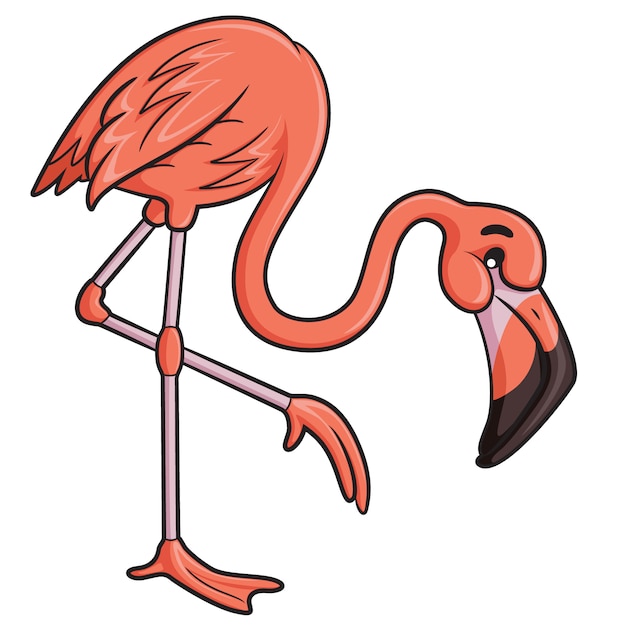 cartoon flamingo known cartoon flamingo known