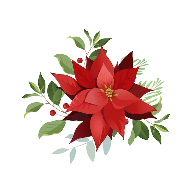 Flores De Poinsétia De Natal, Folhas Vermelhas. | Vetor Premium