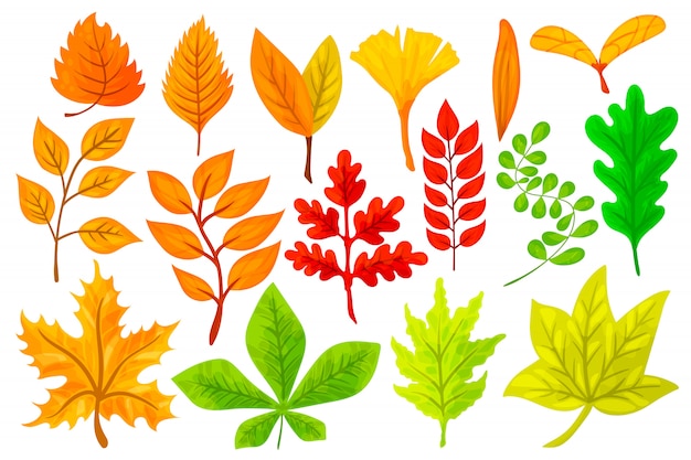 Featured image of post Desenho De Outono Colorido Nesta esta o as folhas ganham novas cores mas os tons utilizados para colorir s o sempre ao crit rio do artista