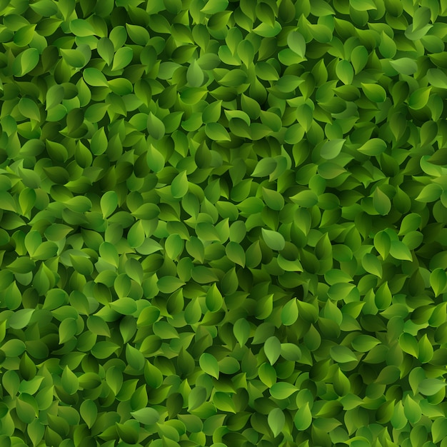 Folhas Verdes Sem Costura Padrão Primavera Ou Verão Fundo Fresco Vetor Premium 3164