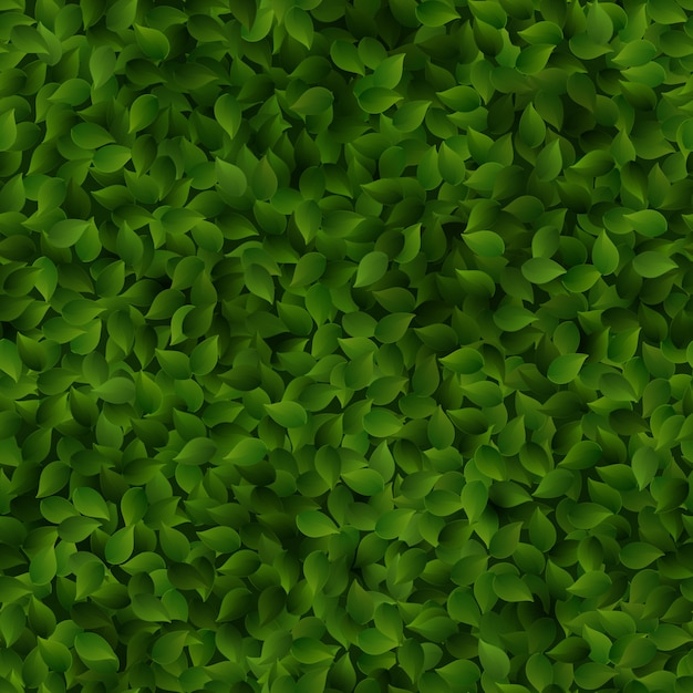 Folhas Verdes Sem Costura Padrão Primavera Ou Verão Fundo Fresco Vetor Premium 8674