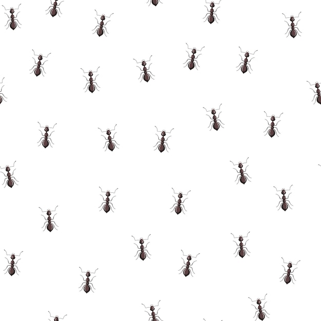 Formigas De Colônia De Padrão Sem Emenda Em Fundo Branco Modelo De Insetos Vetoriais Em Estilo 6057