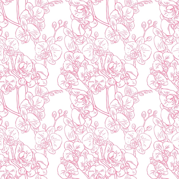 Fundo Bonito Sem Emenda De Orquídeas Rosa De Esboço Ilustração Desenhada à Mão Vetor Premium 8691