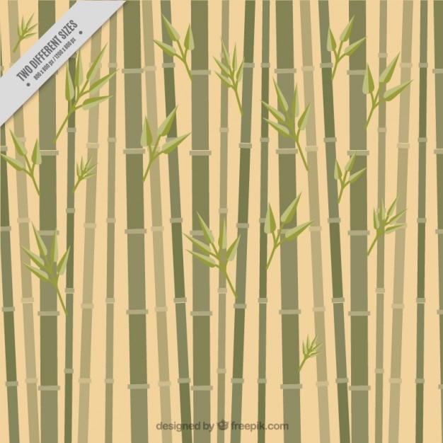 Fundo De Bambu Estilo Plana Vetor Grátis 4545