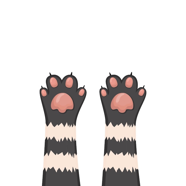 Fundo De Gatos Conjunto De Patas De Desenho De Gatinho Ilustração