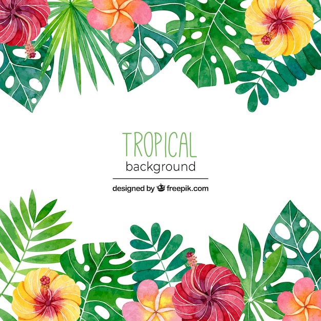 Fundo Tropical Com Folhas E Flores Em Estilo Aquarela Vetor Grátis 3545