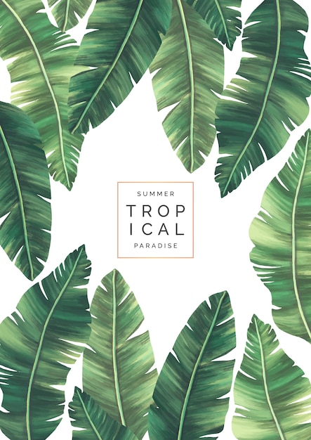 Fundo Tropical 8004