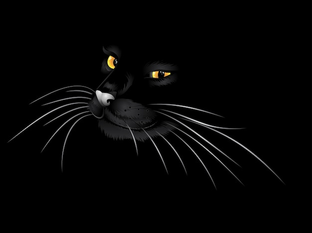 Gato preto no escuro | Vetor Premium