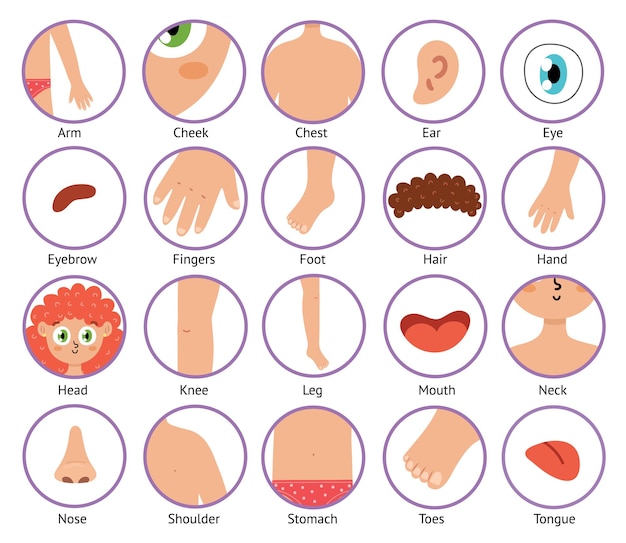 Ícones de partes do corpo em estilo cartoon coleção dos elementos do