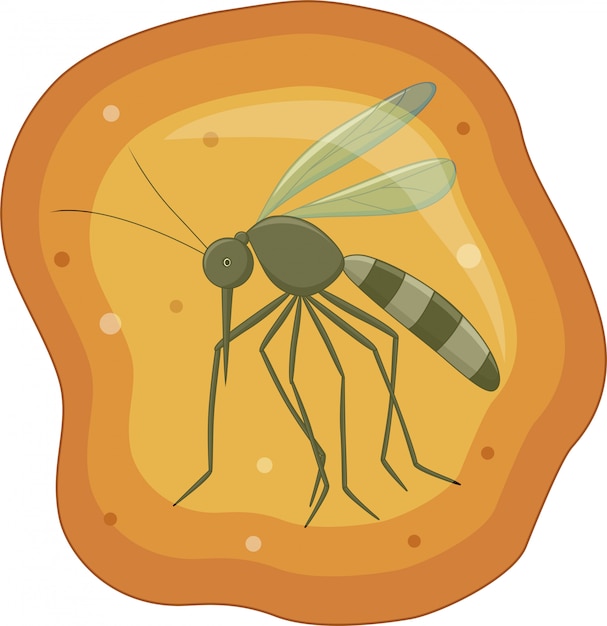 Ilustração de mosquito em fóssil âmbar amarelo Vetor Premium