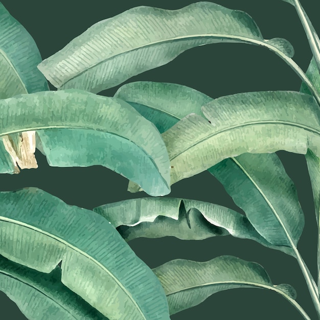 Ilustração de padrão de verão tropical Vetor grátis