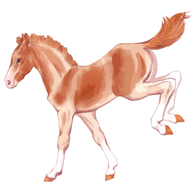 Ilustração em vetor em aquarela de cavalo bebê imagem desenhada à mão