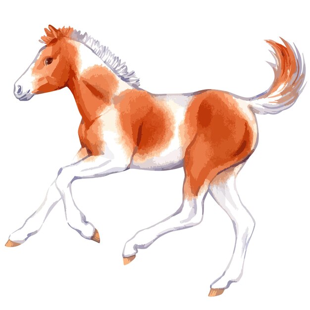 Ilustração em vetor em aquarela de cavalo bebê imagem desenhada à mão