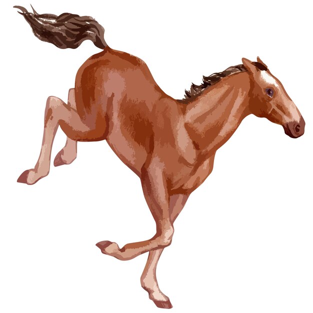 Ilustração em vetor em aquarela de cavalo bebê imagem desenhada à mão