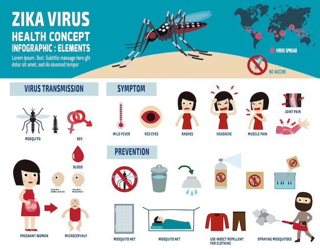 Ilustração Em Vetor Infográfico Zika Vírus Vetor Premium