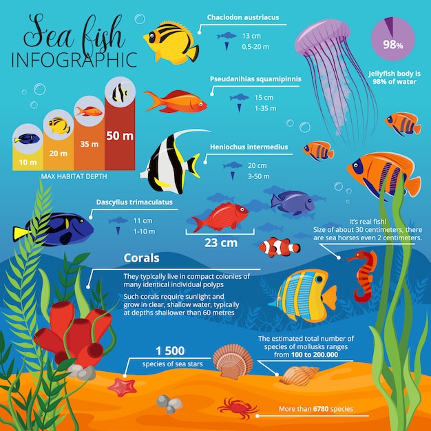 Infogr Fico De Plantas De Animais Da Vida Marinha Com Tipos De Peixes Seus Tamanhos E