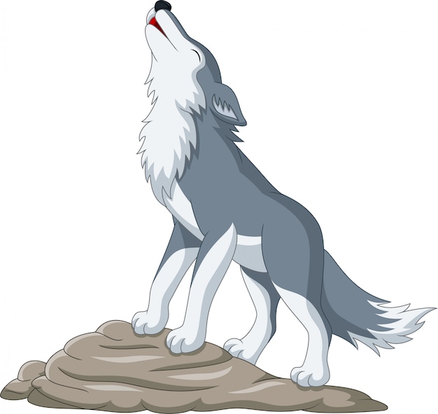 Featured image of post Fotos De Perfil De Lobos Animados c mo se convirtieron los lobos en perros