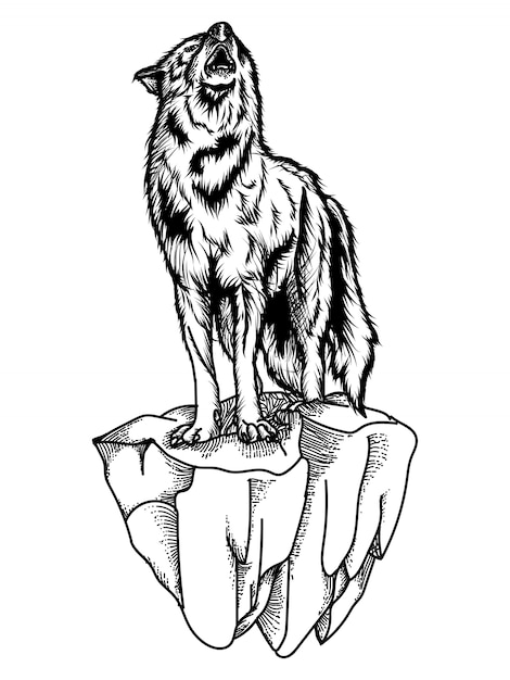 Featured image of post Lobo Uivando Desenho Preto E Branco Fa a j download desta ilustra o vetorial lone lobo uivando para a lua