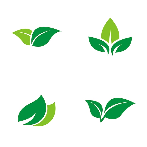 Logotipo Da Folha Verde Vetor Premium