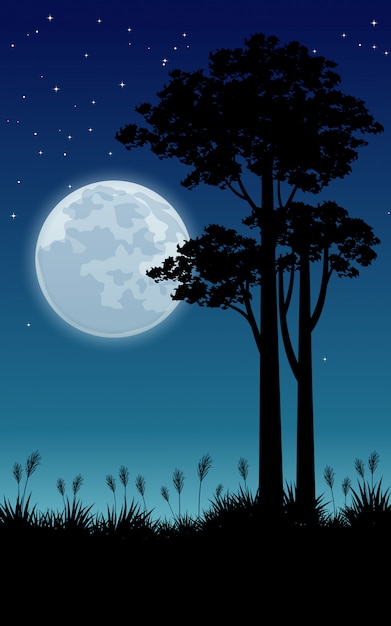 Lua cheia e árvores na noite linda | Vetor Premium