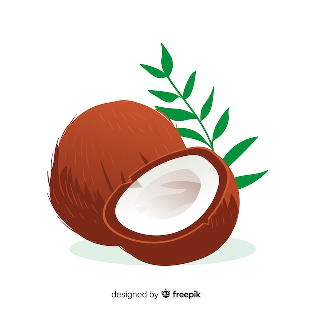 Mão, desenhado, coco, ilustração Vetor grátis