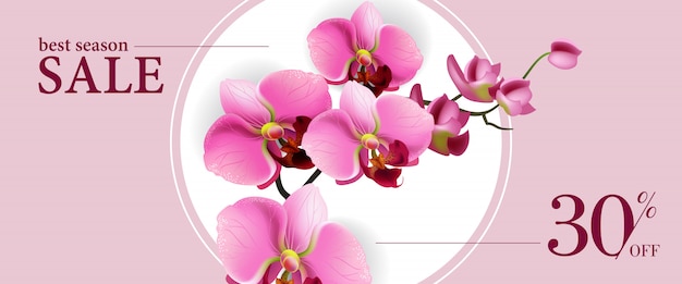 Melhor venda de temporada, trinta por cento do banner horizontal com flores cor de rosa no círculo branco. Vetor grátis