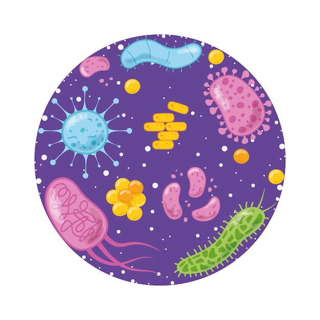 virus bacterian)