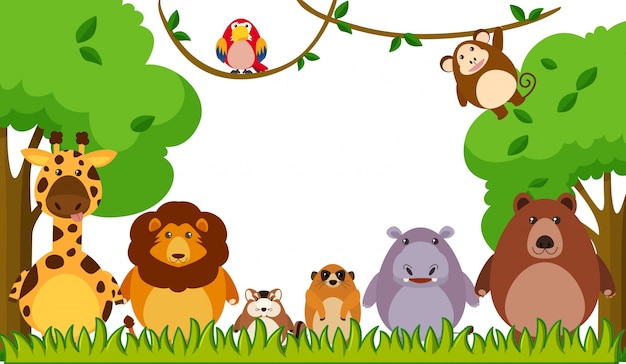 Molde de fundo com animais selvagens no parque Vetor grátis
