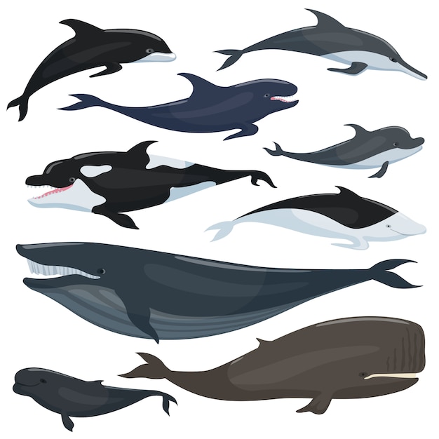 Náutico, cobrança, de, diferente, submarinas, grande, peixes, e, mamíferos, animais Vetor Premium