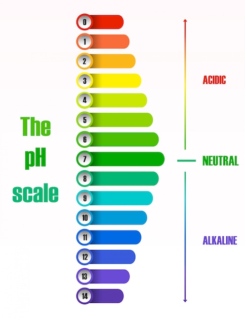 Mapa Conceptual Diagrama De Ph