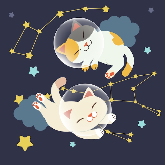 O personagem do gato bonito flutuar no espaço. o gato flutuar no espaço com um grupo de estrelas Vetor Premium
