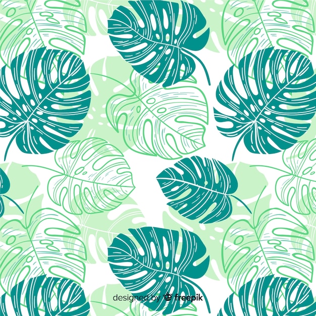 Padrão de monstera Vetor grátis