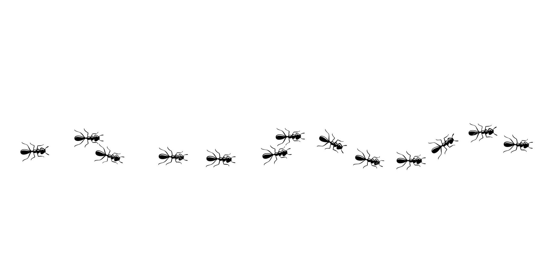 Padrão Sem Emenda De Trilha De Formigas Caminho De Formiga Isolado No Fundo Branco Ilustração 0303