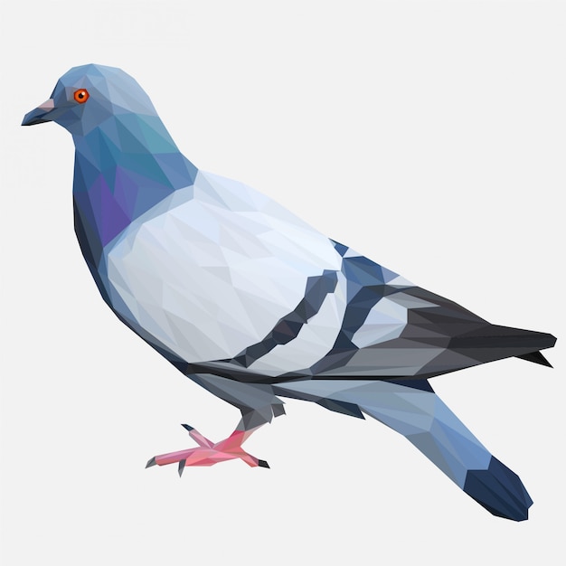 Pássaro de pombo com estilo lowpoly Vetor Premium