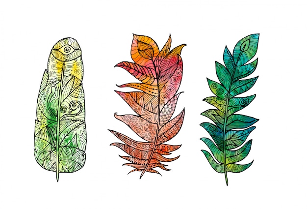 Pena tirada mão ajustada com elementos do doodle, do zentangle, os florais, do vintage e o fundo da aquarela. Vetor Premium
