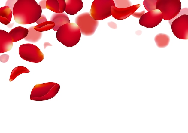 petalas-de-rosas-vermelhas-caindo-sobre-fundo-branco_46250-2055.jpg