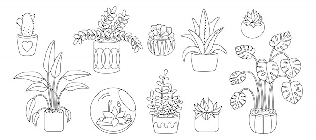 Featured image of post Desenho Para Vaso De Planta Desenhos de plantas e folhas