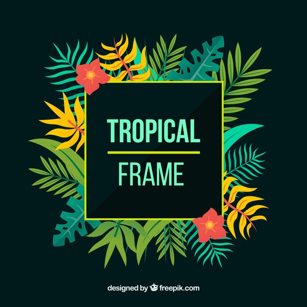 Quadro De Folhas Tropicais Coloridas Vetor Gr Tis