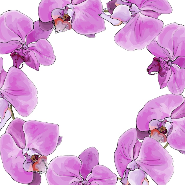 Quadro floral com orquídeas tropicais flores rosa Vetor Premium