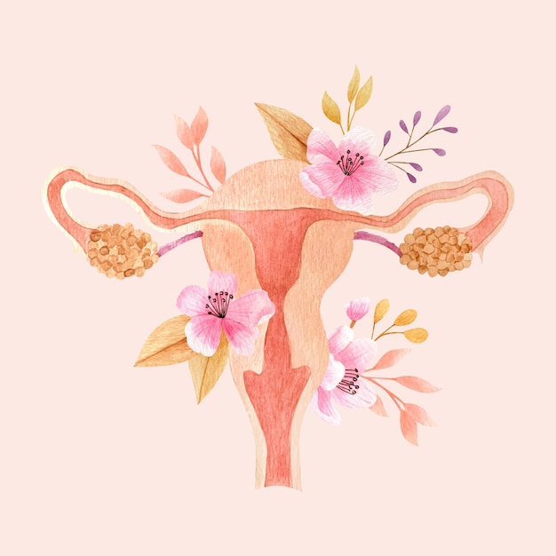 Sistema Reprodutivo Feminino Com Flores Vetor Grátis 0708