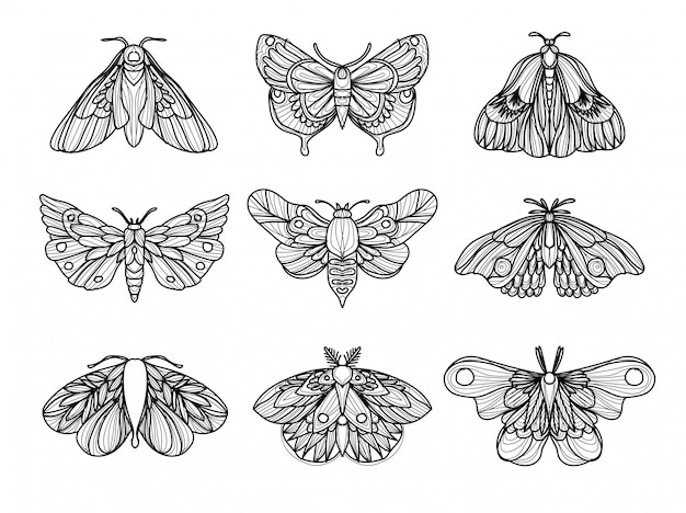 desenho de tatuagem de punhal de borboleta - Download Vetores Gratis,  Desenhos de Vetor, Modelos e Clipart