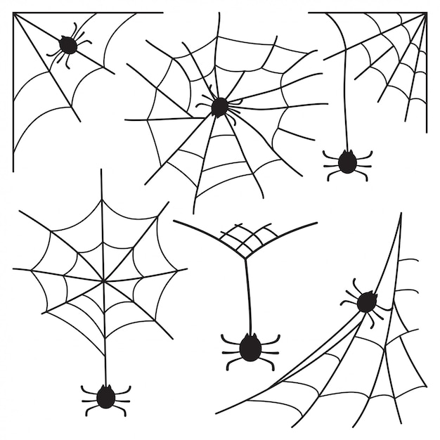 Teia de aranha aranha ícone definido para o halloween isolado no